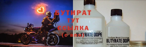 прущие грибы Балахна