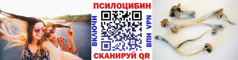 MEGA ссылки  купить   Камызяк  Псилоцибиновые грибы GOLDEN TEACHER 
